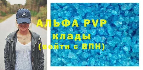 крисы Алексин