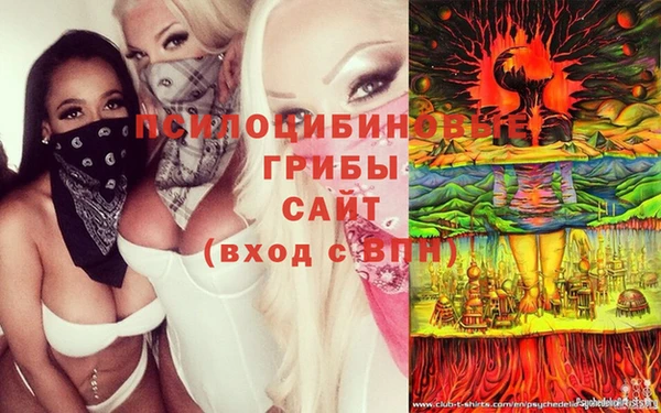 a pvp Алзамай