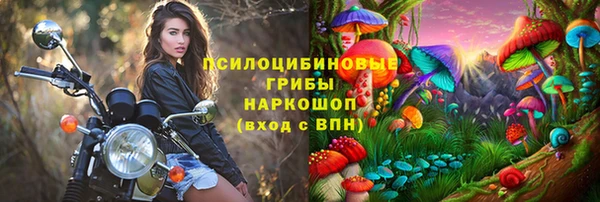 a pvp Алзамай