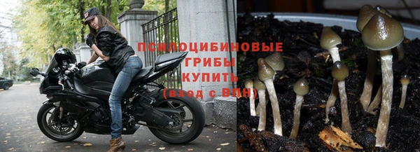 mix Алексеевка